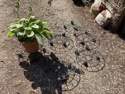 Photo of free Lage plant pot caddies (East End OX29) #2