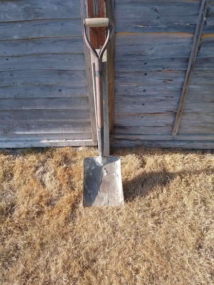 Photo of free Shovel (Southgate RH10) #1