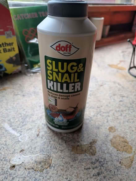 Photo of free Slug and snail killer (Capernwray LA6) #1