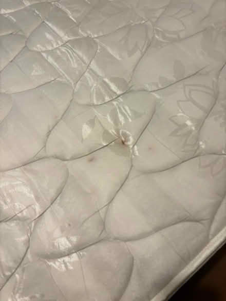 Photo of free Silentnight Double Mattress (Southcourt HP21) #3