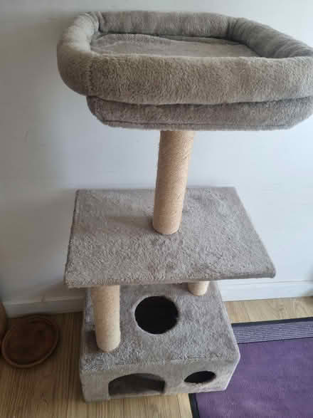 Photo of free Cat tree (Woodingdean BN2) #1