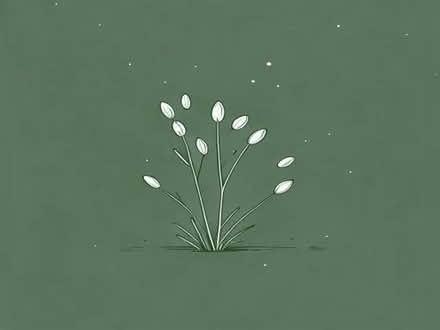 Photo of free Grass seeds (Burbage SK17) #1