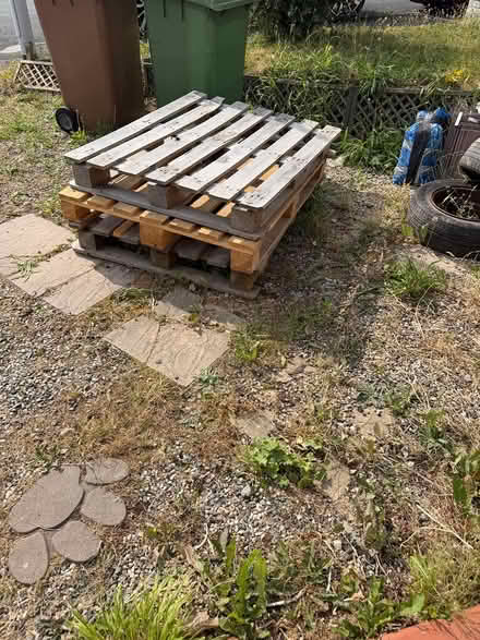 Photo of free Wooden Pallets (Plympton. PL7) #1