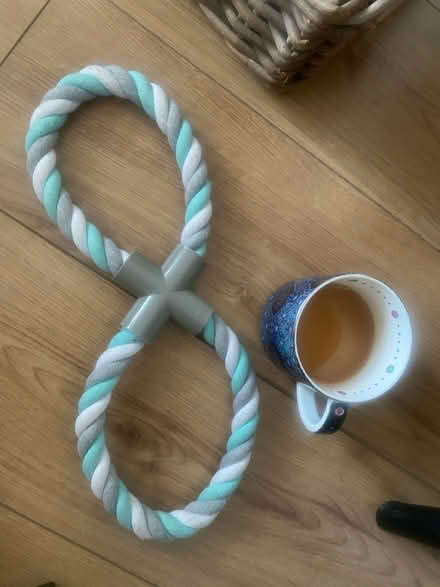 Photo of free Dog toy (Perdiswell WR3) #1
