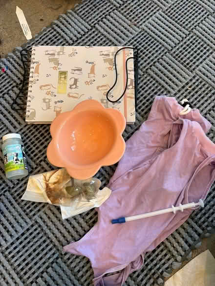 Photo of free kitty recovery goody bag (Ballard) #2