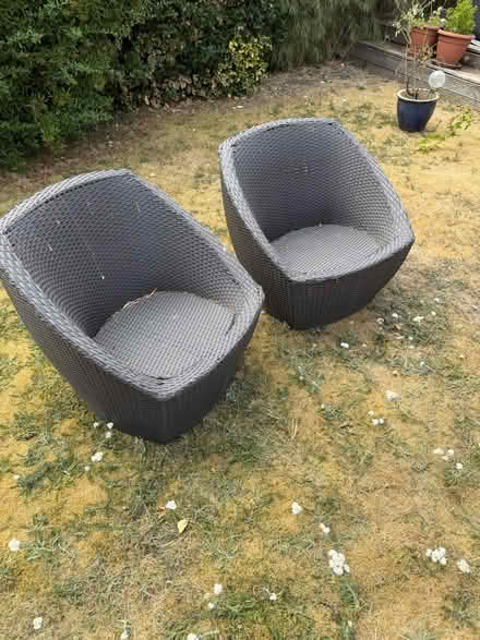 Photo of free 2 rattan egg chairs brown/black (Bishops Stortford) #1