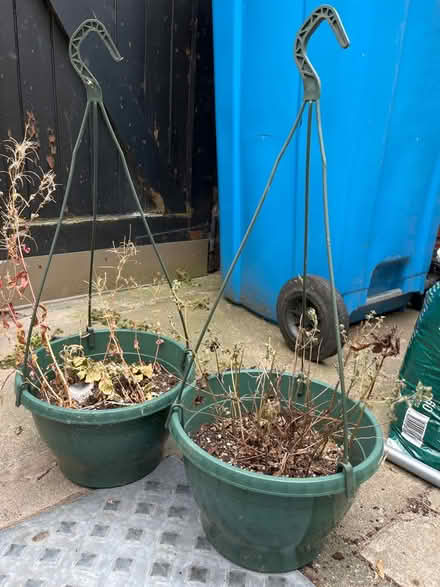 Photo of free hanging baskets (L15) #1