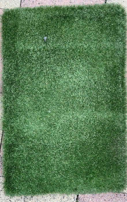 Photo of free Artificial grass offcuts (Fishers Green SG1) #1