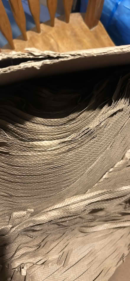 Photo of free Ornament Paper (Ottawa) #1