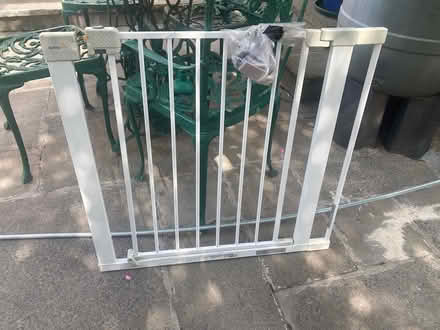 Photo of free Potty and stand, gate, bed rail (Sandymount) #2
