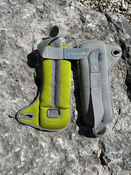 Photo of free Light Free Weights (Westboro) #2