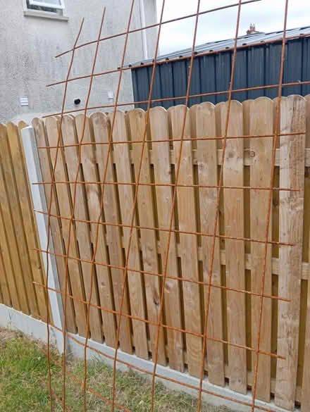 Photo of free Wood/mesh (Dundalk) #2