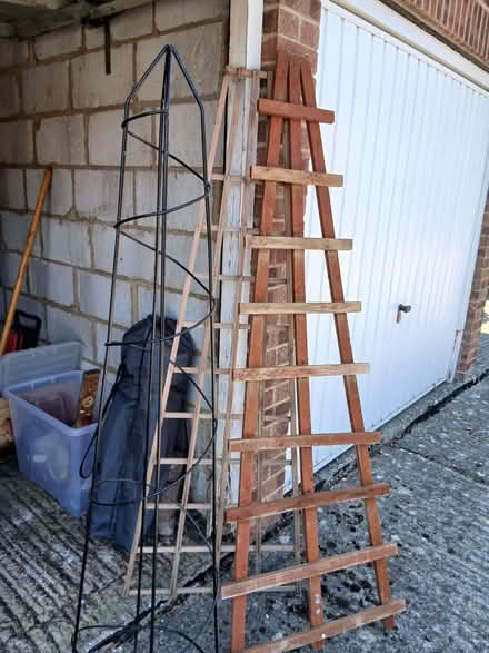 Photo of free Garden trellis (Walton HP21) #1