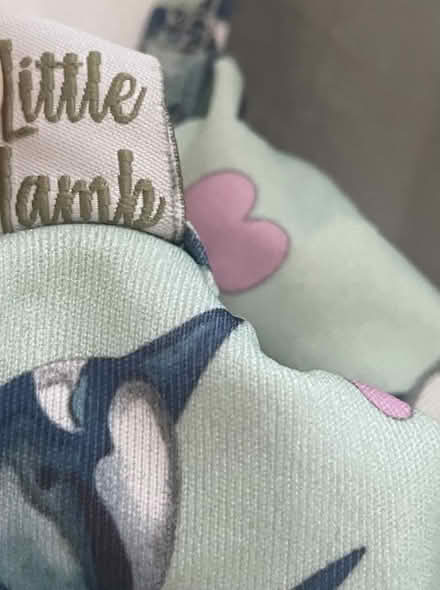 Photo of free reusable nappy set Little Lamb s1 (Wood Green N22 near tube) #3