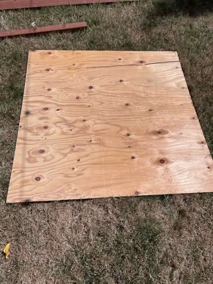 Photo of free Plywood (Ballard) #1