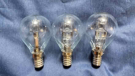 Photo of free Light bulbs (Boroughbridge YO51) #1