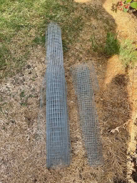 Photo of free Chicken wire (Sychdyn CH7) #1