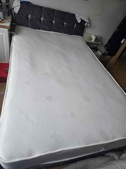 Photo of free small double (Bebington CH63) #2