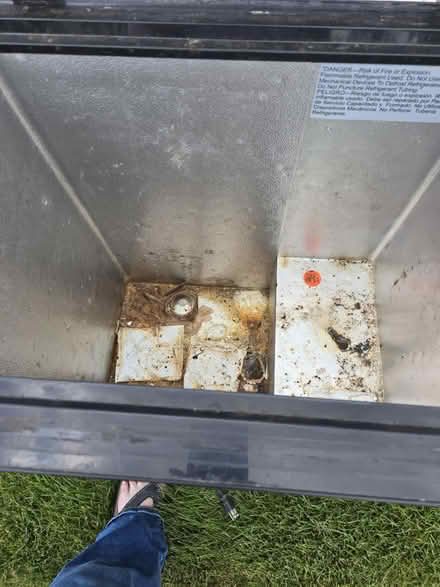 Photo of free Chest freezer (Saline) #3