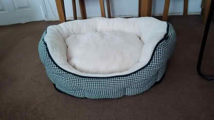Photo of free Dog bed (Denholme BD13) #2