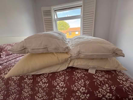 Photo of free Set of 5 Pillows (W4 3RL) #2