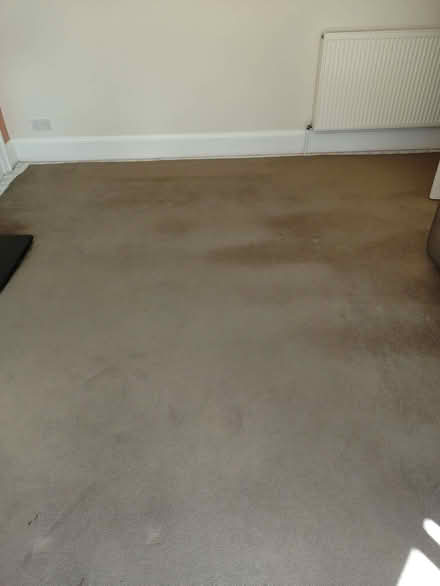 Photo of free Carpet & underlay- 4.6 x 3.3m (Shedden G76) #3