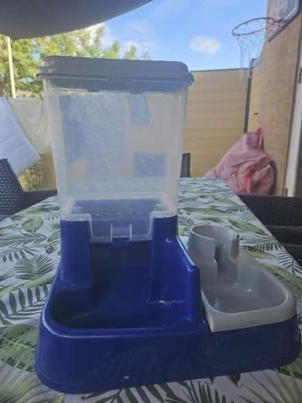 Photo of free Cat Feeder (Temple Cowley OX4) #1