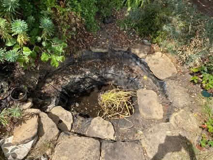 Photo of free Pond liner (Seaside BN22) #3