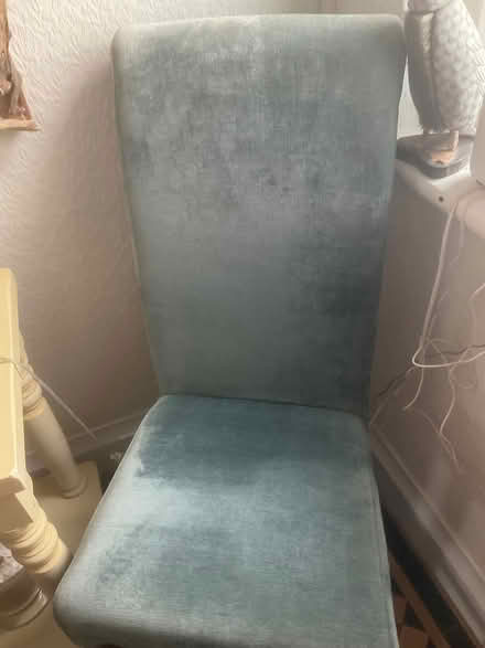 Photo of free Upholstered Velour Chair (Minehead TA24) #1