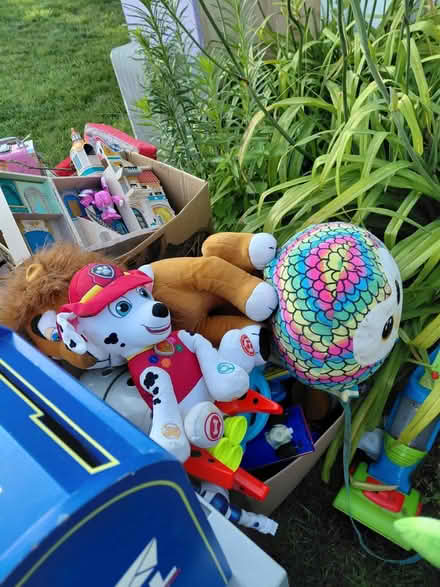 Photo of free toyes and bed (South Brunswick) #1