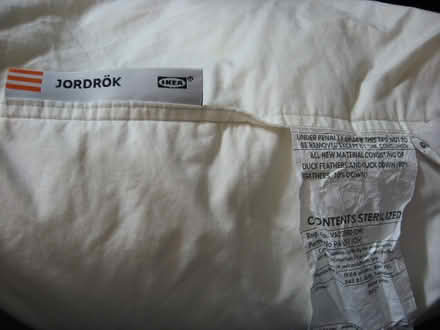 Photo of free Ikea Jordrok down pillow (castro valley) #1