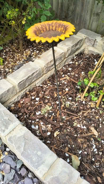 Photo of free Sunflower-design bird feeder (New Marston OX3) #2