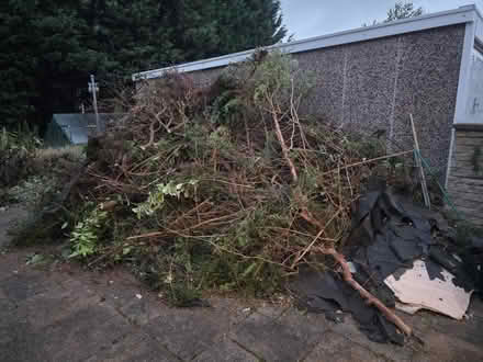 Photo of free Garden Green Waste (Shirecliffe S5) #3