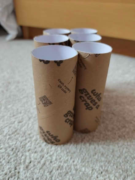 Photo of free Empty Toilet Rolls (North Abingdon, OX14) #4