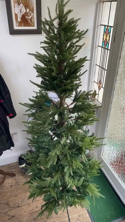Photo of free Christmas Tree, 7’ M&S (M16 9 WT) #4