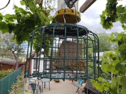 Photo of free Bird feeder (Northway OX3) #1