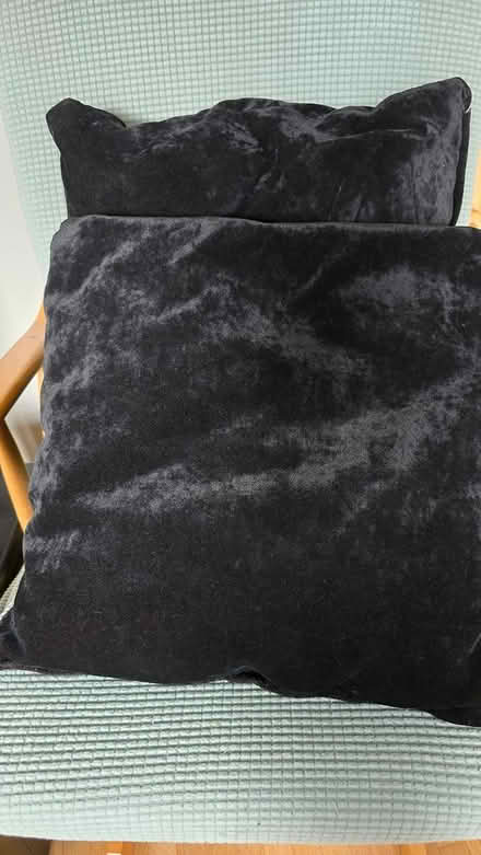 Photo of free Two black pillows (Forest Glen) #1
