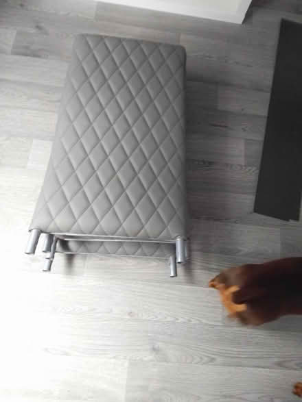 Photo of free Glass dining table & 4 chairs (Killamarsh S21) #4