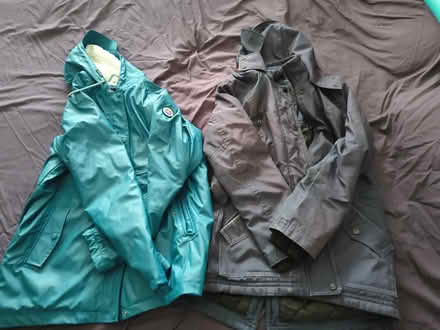 Photo of free 2 medium womens winter coats (Well hall roundabout. SE9) #1