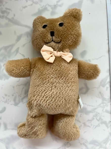 Photo of free Tiny Teddy (Westbrook WA5) #1