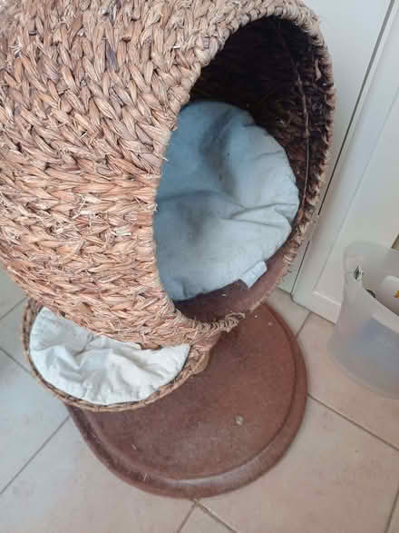 Photo of free Cat Den (Lychpit RG24) #1
