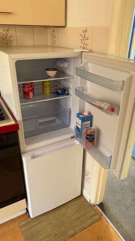Photo of free Fridge freezer (Twickenham TW1) #1