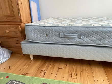 Photo of free Single bed (Peacehaven) #1