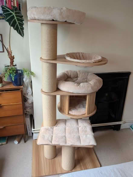 Photo of free Large Cat Tree (Bermondsey SE16) #1