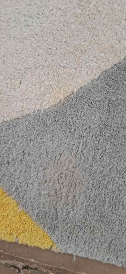 Photo of free Small rug (Galleywood, CM2) #3