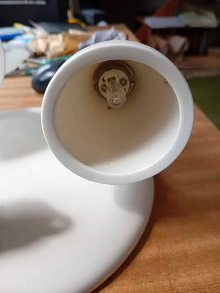 Photo of free Ceiling Lights (Upper Hartfield TN7) #2