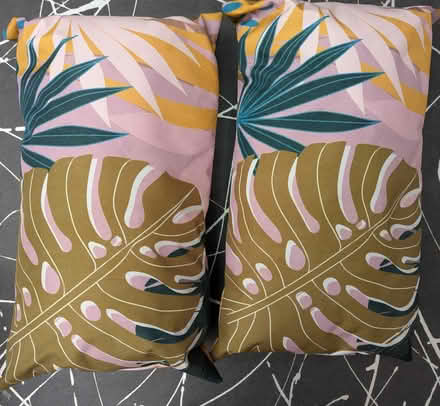 Photo of free Garden cushions #2 (near Hollow Way, Cowley OX4) #1
