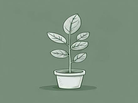 Photo of Baboo plant sticks (Priory Ward EX2) #1
