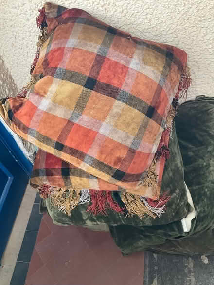 Photo of free Big Feather Cushions (Minehead TA24) #2
