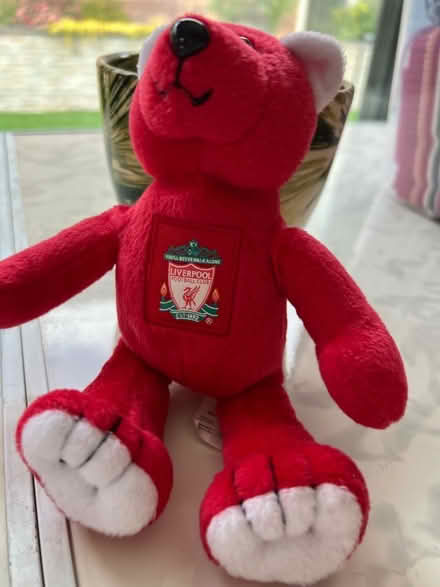 Photo of free Liverpool FC beanie character (Westbrook WA5) #1